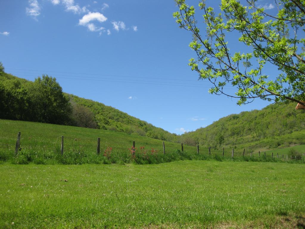 Domaine La Rose Bed & Breakfast Caylus Екстериор снимка